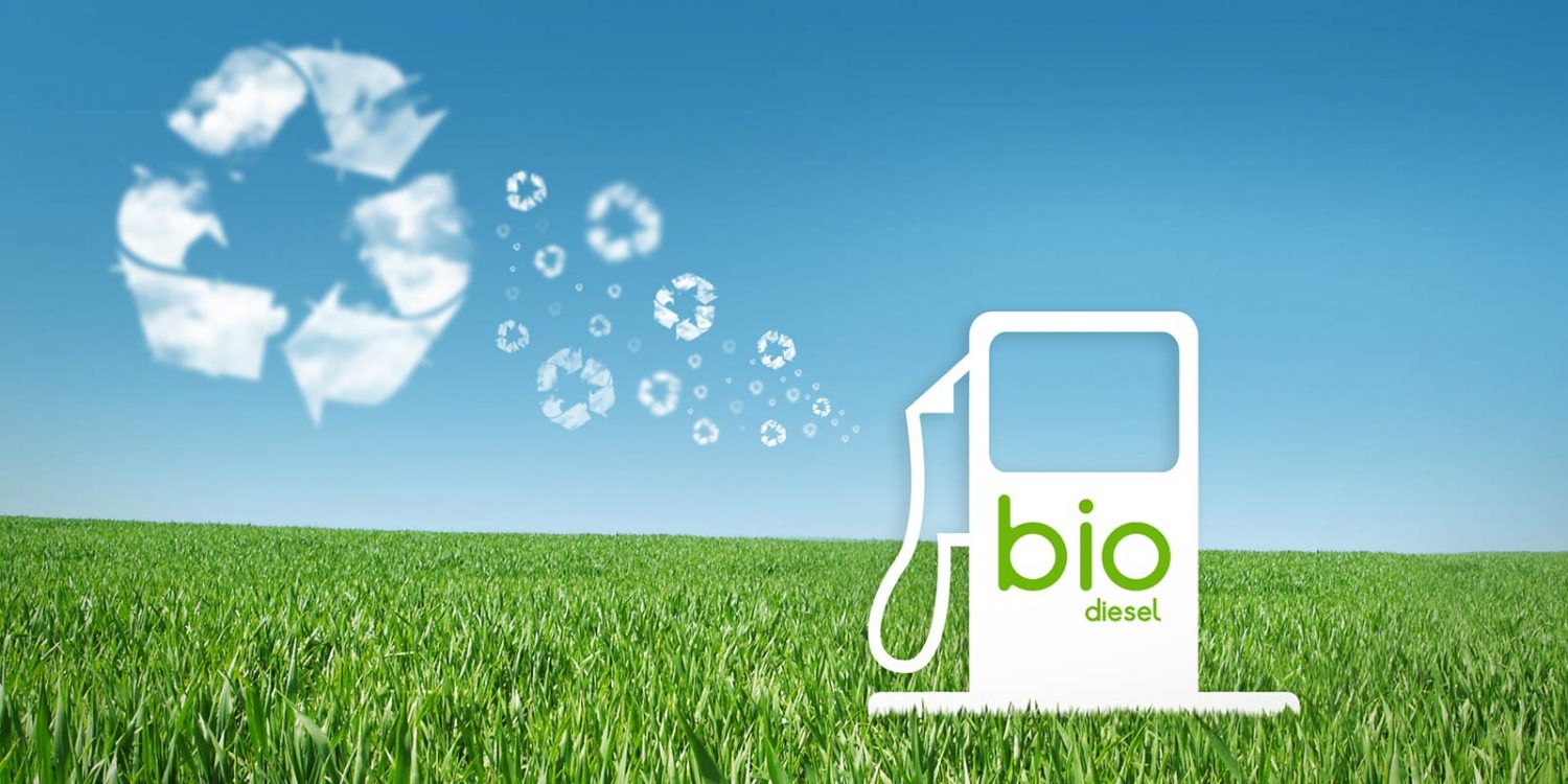 biodiesel is it worth considering essay biodiesel is it worth considering essay